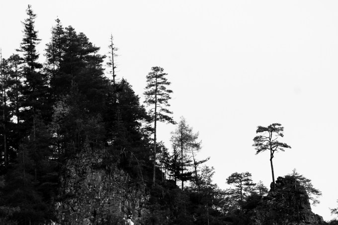 3_amatitalibera_fratus_2015