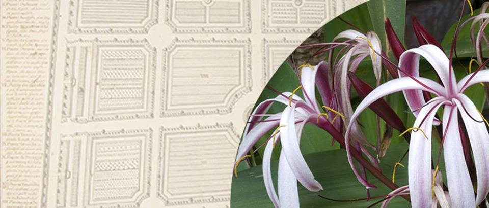 Sei incontri col pubblico a&nbsp;dicembre