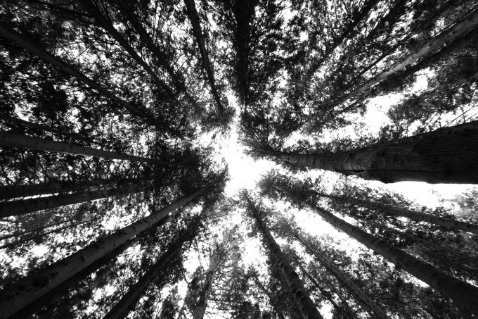 4_ildedalocircolare_fratus_2015