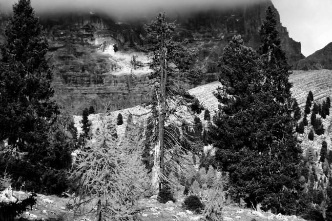 7_dioarrivadallalto_fratus_2015