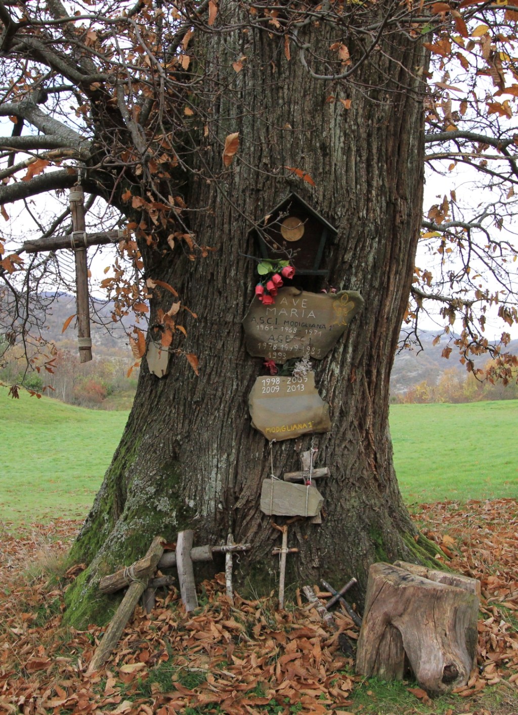I castagni di Marradi oggi su °La&nbsp;Stampa°