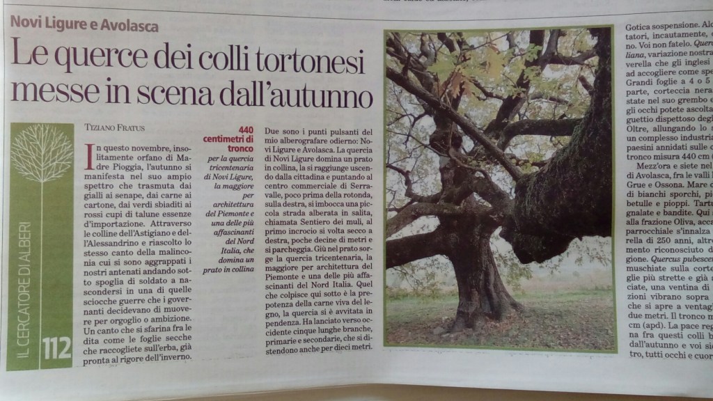 Le querce del tortonese messe in scena dall’autunno