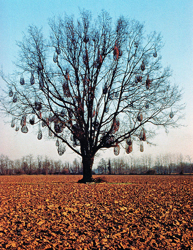 Giuliano Mauri, il tessitore del&nbsp;bosco