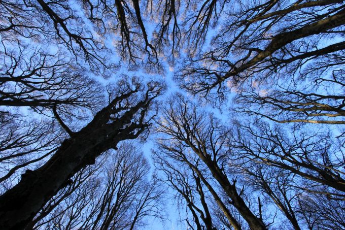 fratus_ideogramminelcielo_2016_b_redux