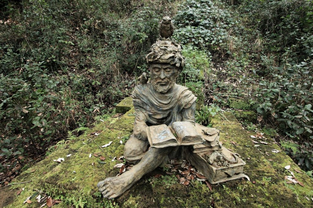 Il saggio nel&nbsp;Bosco