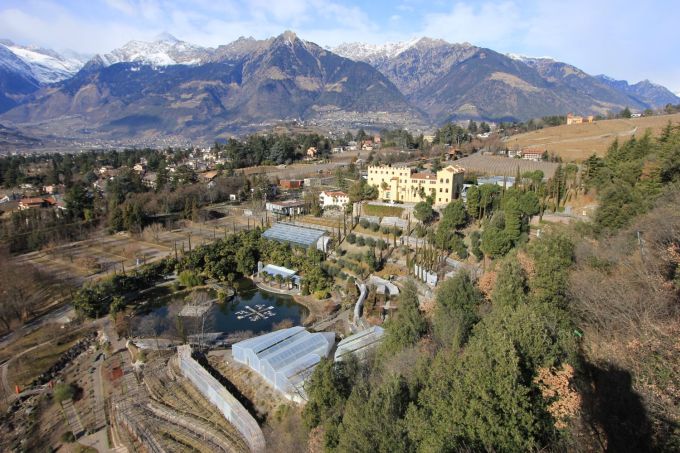 trauttmansdorff_fratus_c