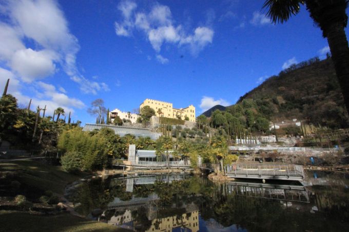 trauttmansdorff_fratus_e