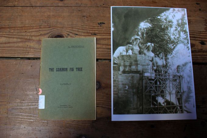 fratus_bordighera_bicknell_redux