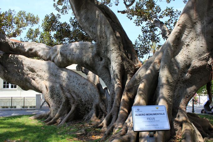 fratus_color_bordighera_2_redux