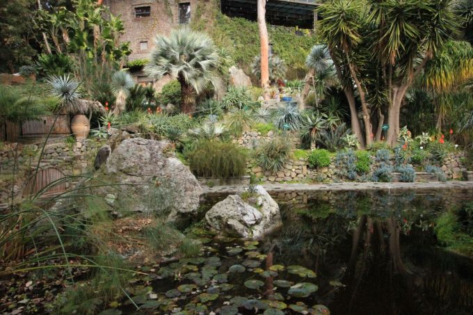 fratus_lamortellagiardini_w_redux