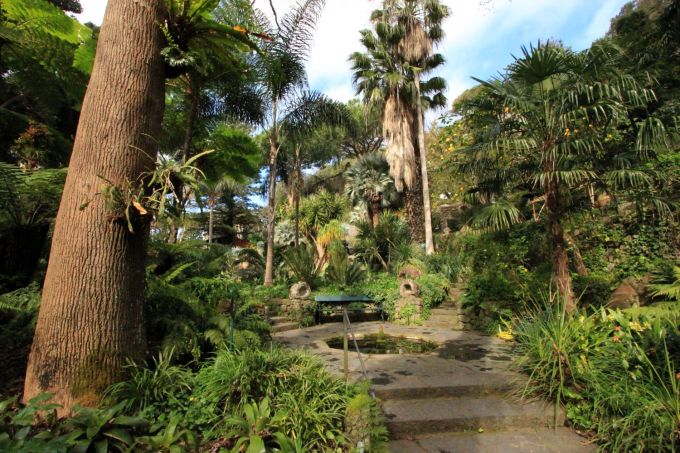 fratus_lamortellagiardini_z_redux