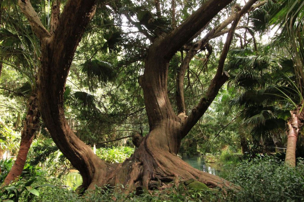 Oggi su La Stampa il Tasso di&nbsp;Caserta