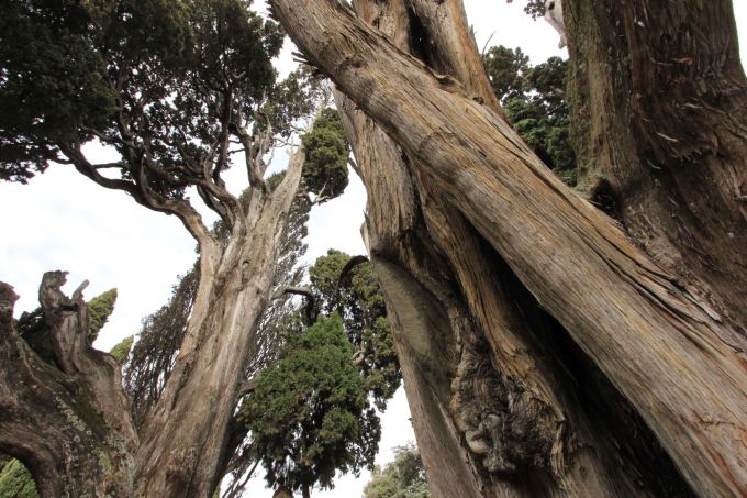 fratus_villadeste_tivoli_e