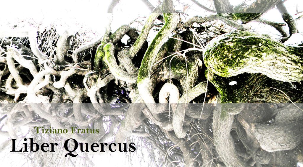 Liber Quercus – Le sottili labbra dell’infanzia