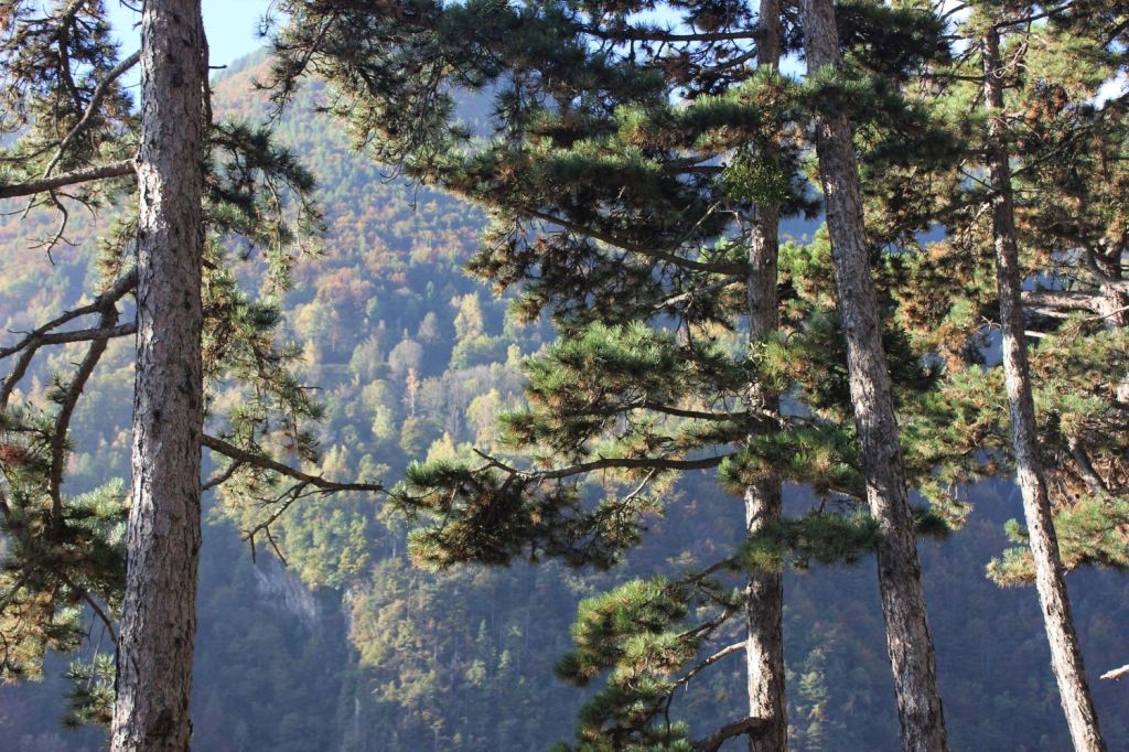 Pasquetta 2016 – Gita al Mont&nbsp;Avic