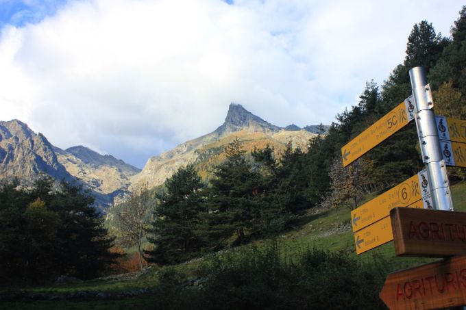 montavic_fratus_1_redux