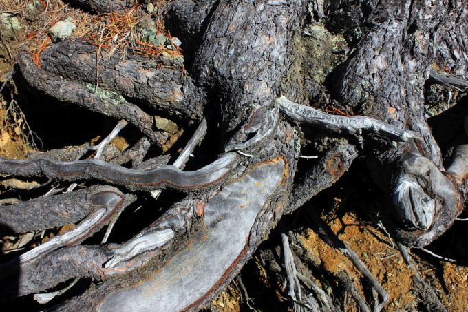 montavic_fratus_4_redux