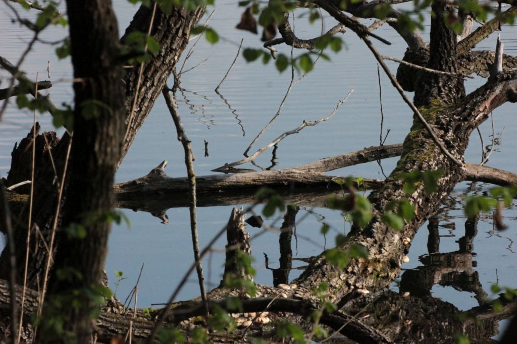 Per celebrare la bellezza e la vita stasera a&nbsp;Milano