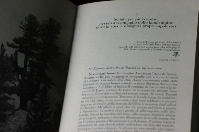 fratus_libroforestescolpite_piove_redux