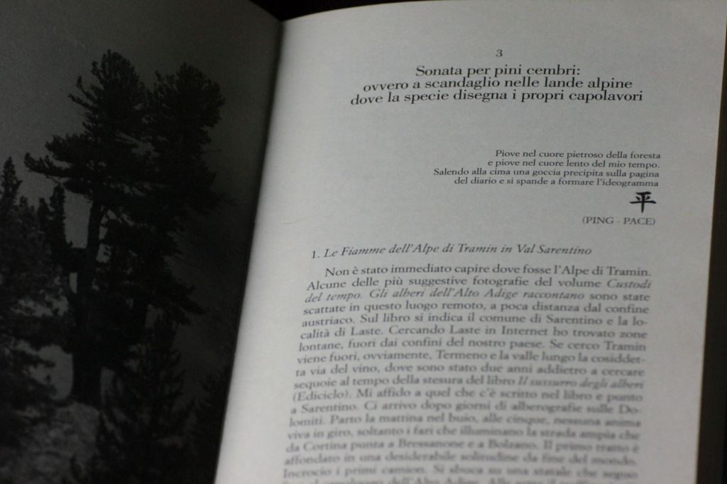 Piove nel cuore pietroso della&nbsp;foresta