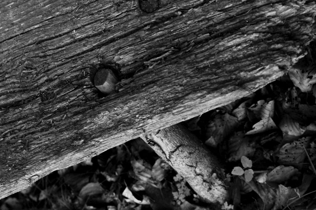 L’universo che si manifesta nel&nbsp;Tao