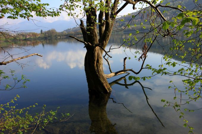 fratus_avigliana_2016_redux