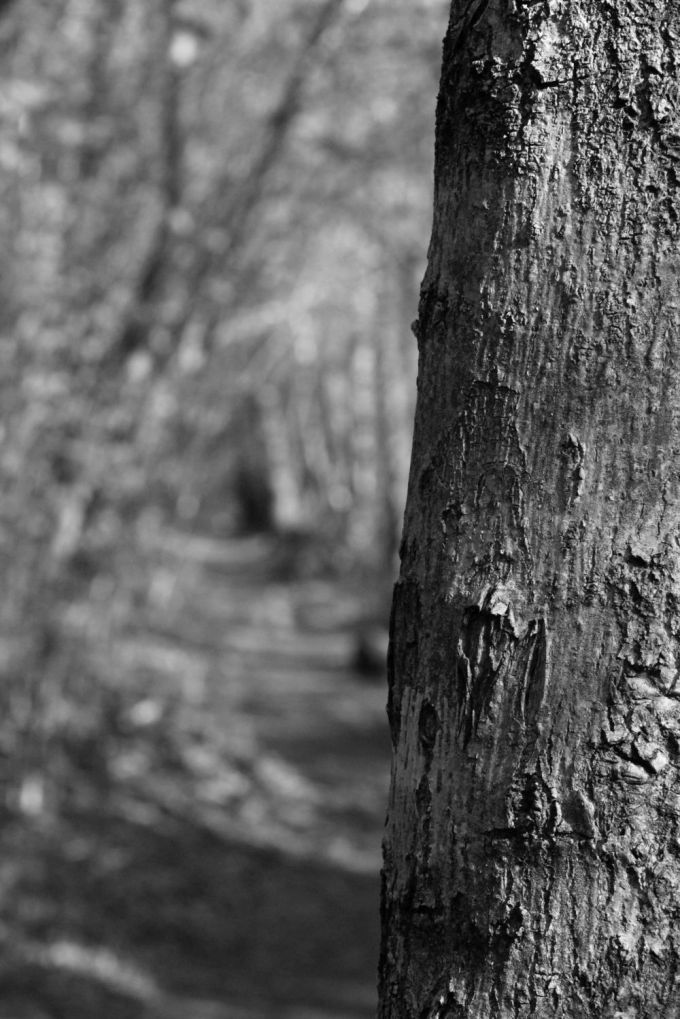 fratus_bosco_a_bn_redux