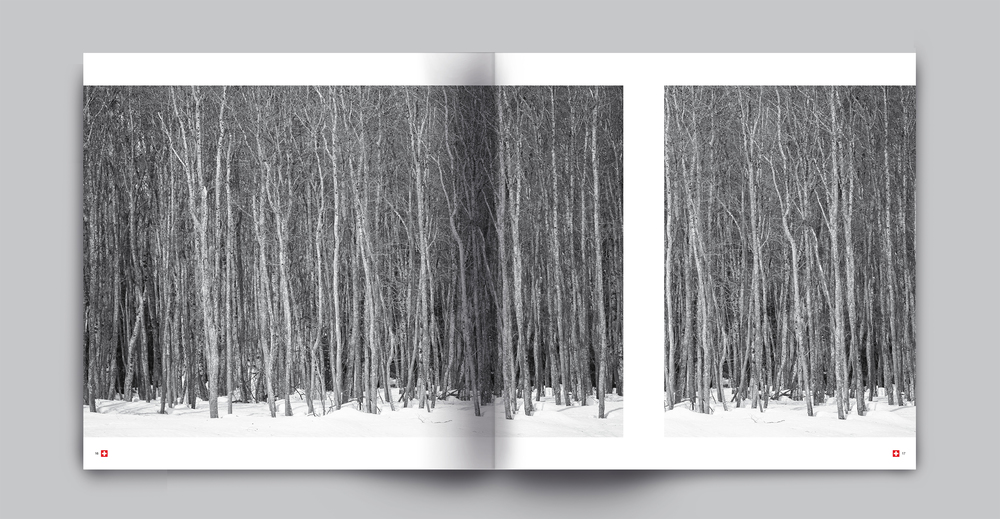 La fotografia di Andrea Aschedamini a&nbsp;Milano