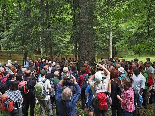 Scatti dal Consiglio&nbsp;2