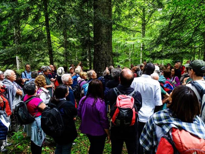 fratus_camminata_cansiglio_2016