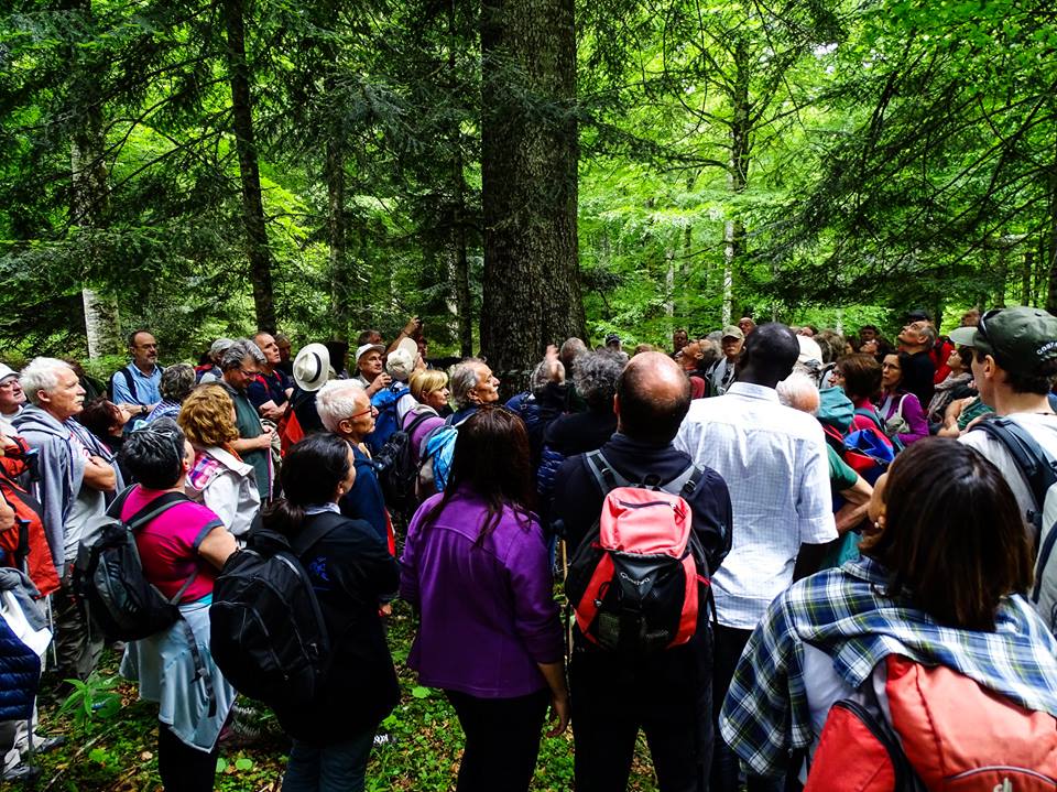 Scatti dal Cansiglio