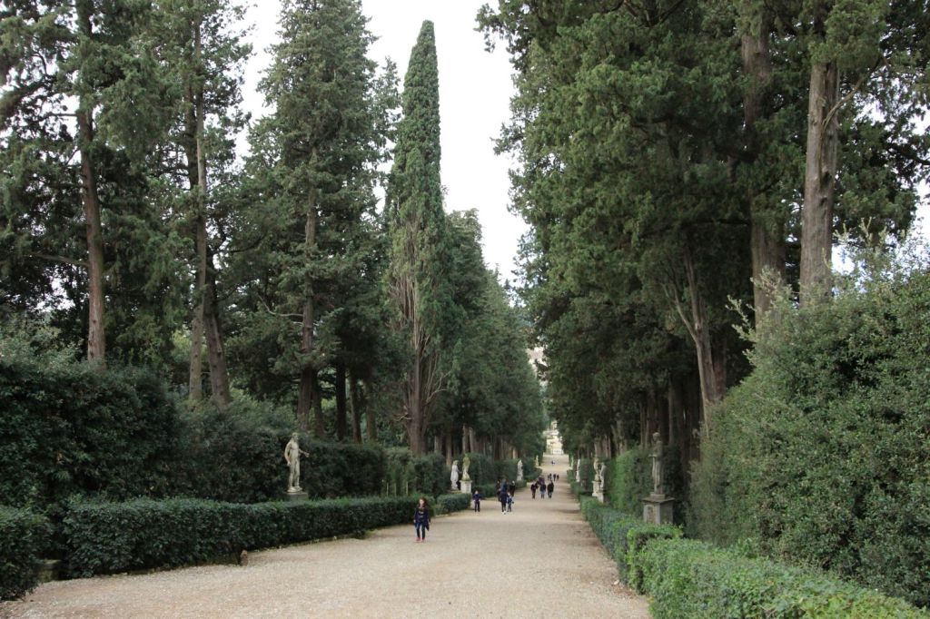 Prima radice: spazi&nbsp;immensi