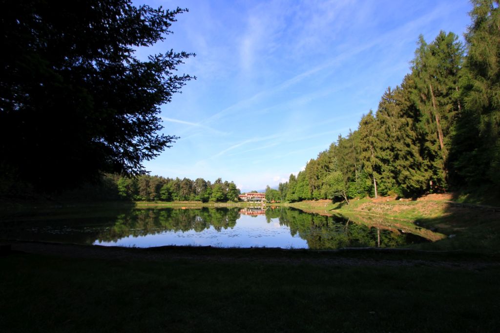 Meditare tra gli abeti odorosi dell’oasi di&nbsp;Meugliano