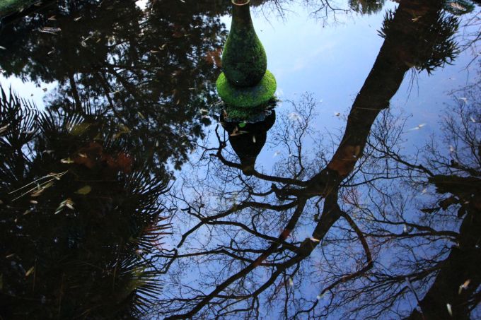 lamortella_fratus_morgen11_redux