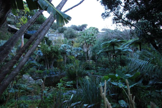 lamortella_fratus_morgen2_redux