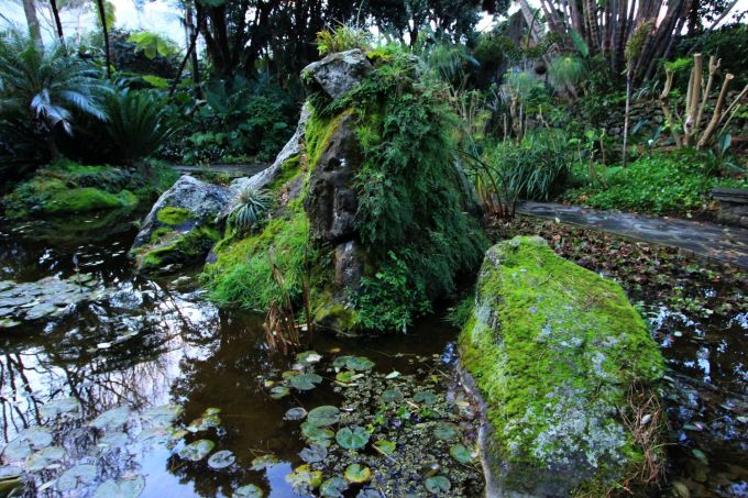 lamortella_fratus_morgen5_redux