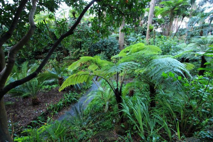 lamortella_fratus_morgen7_redux