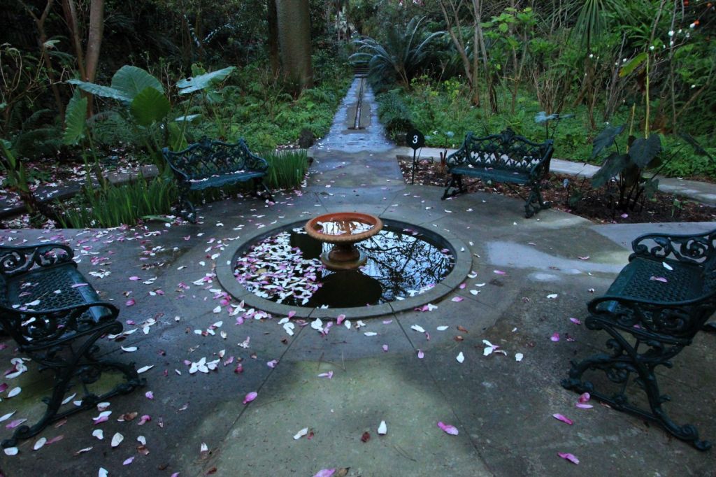 Ten intense moments at Sunrise in the Exotic Garden of La&nbsp;Mortella