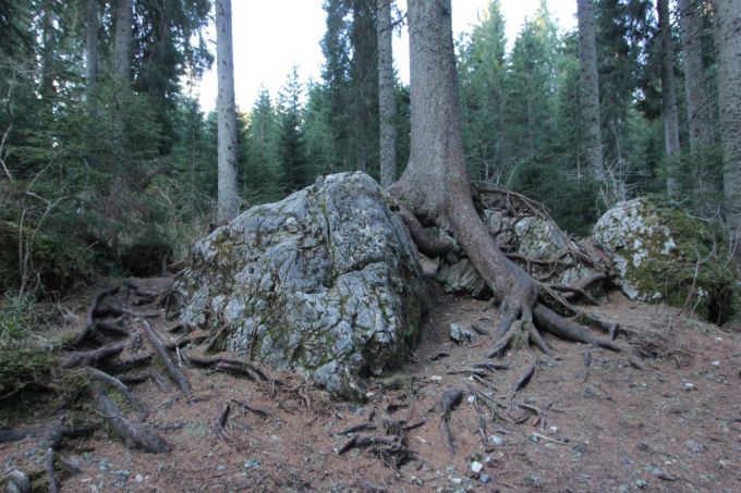 latemar_fratus_danzatore1_redux