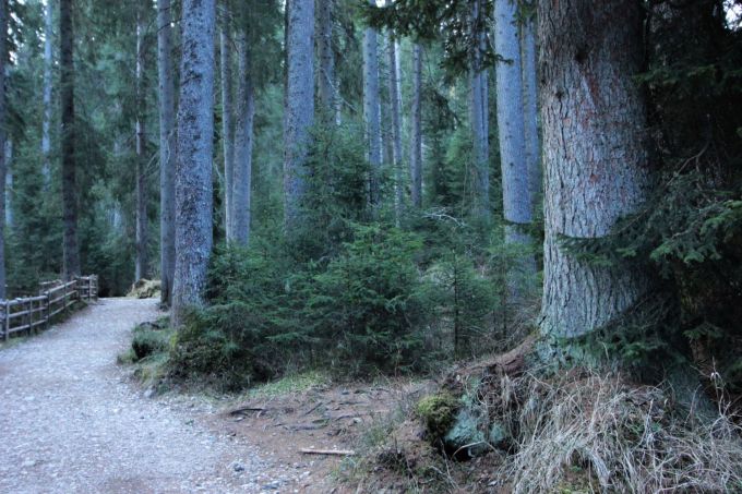 latemar_fratus_walk4_redux