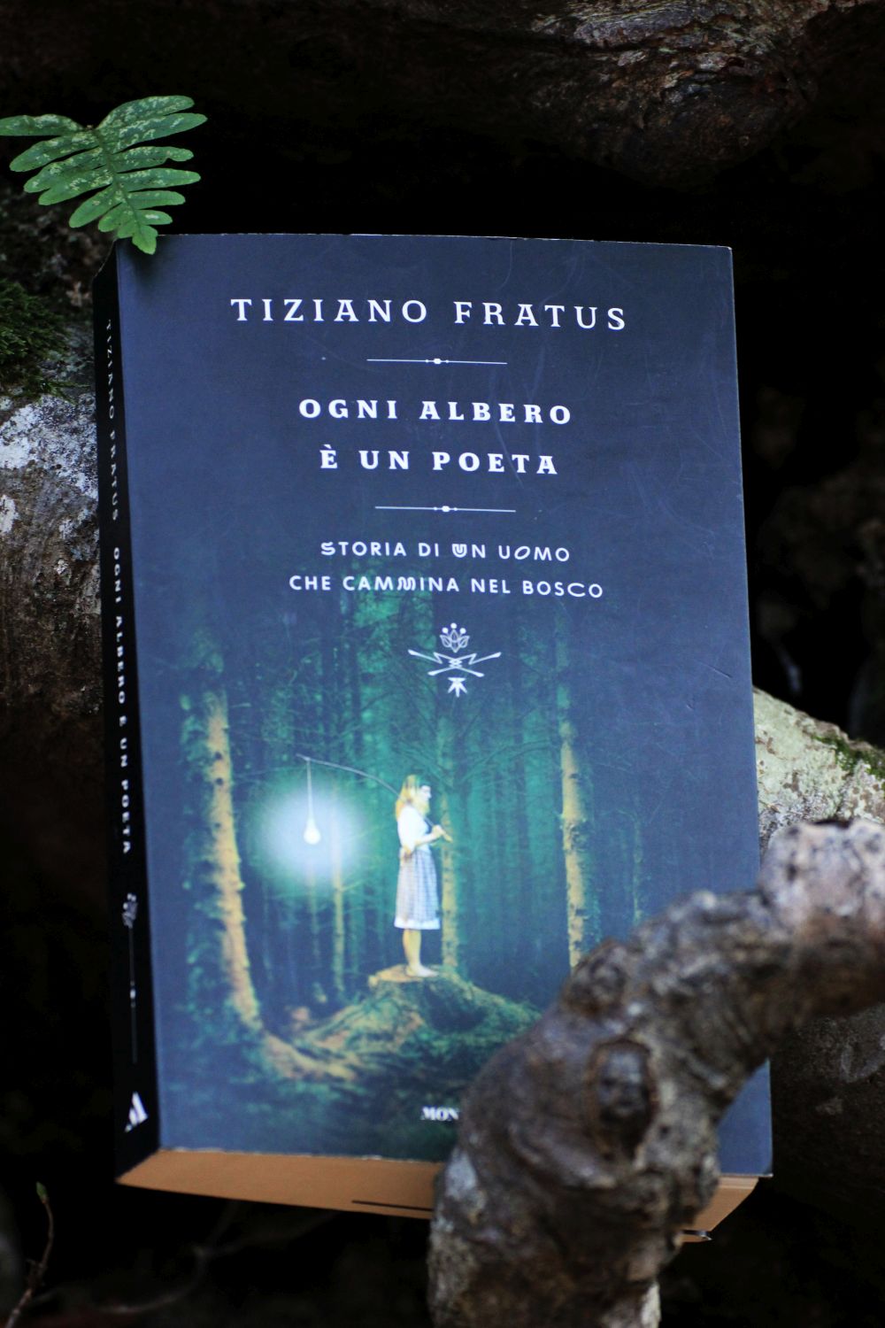 °Ogni albero è un poeta° fra i consigli per&nbsp;l’estate
