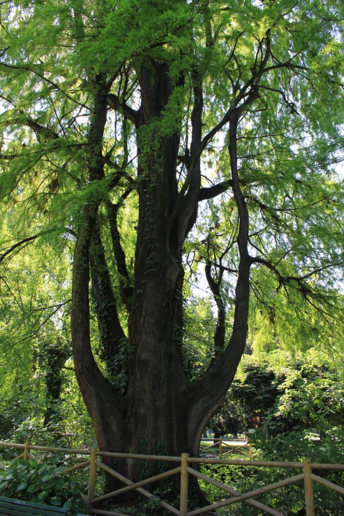 fratus_color_milano_a_redux