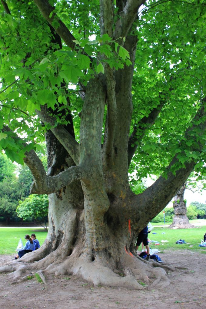 fratus_color_milano_e_redux