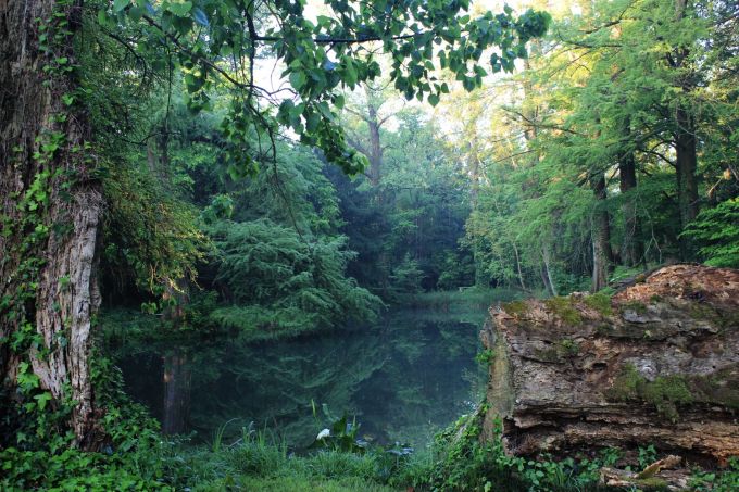 fratus_fraforeano_redux