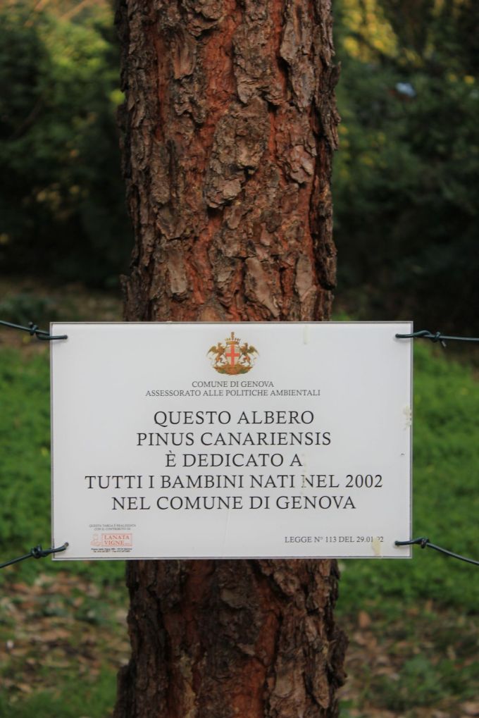 fratus_genova_nervi_bambini