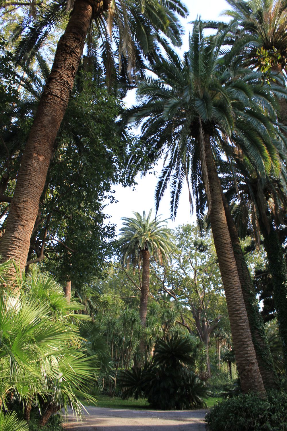 Giardini e alberi di Liguria. Parte prima:&nbsp;Genova