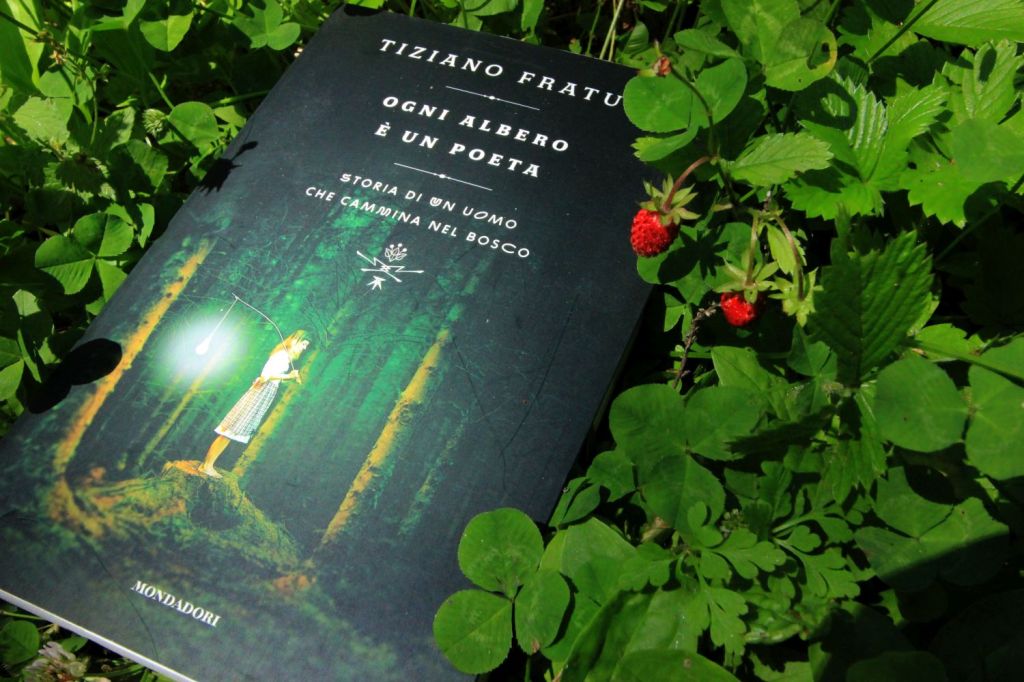 Recital-Concerto °C’è una strada nel bosco°&nbsp;stasera