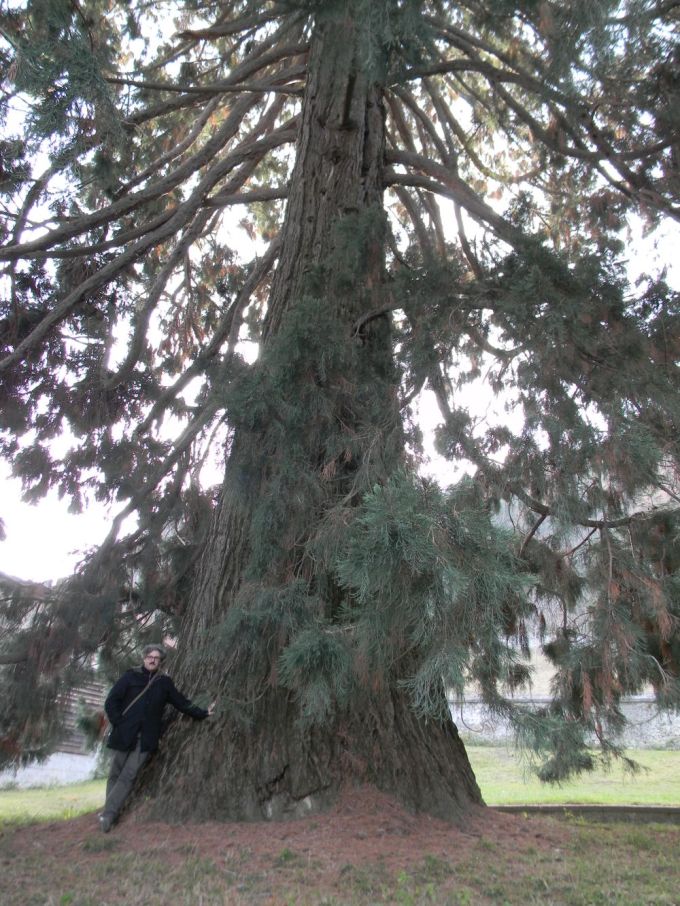 roccavione_fratus_c_redux