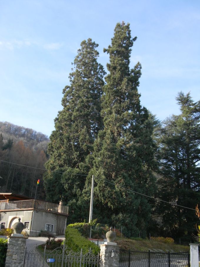 roccavione_fratus_d_redux