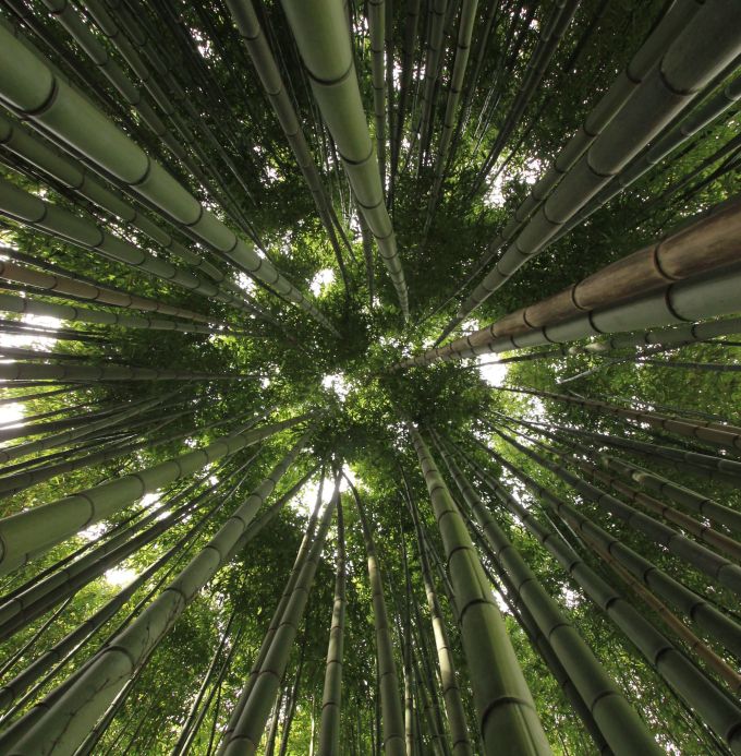 square_fratus_giardinifilosofici_ninfa_4